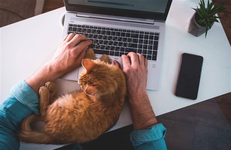 employee engagement tips